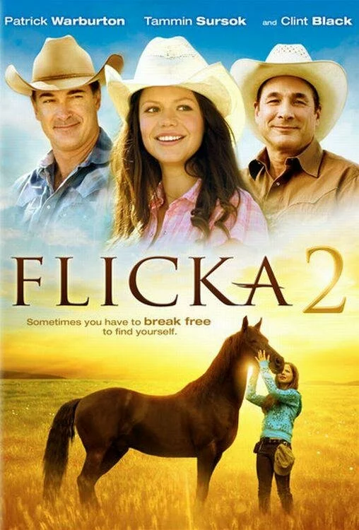 Флика 2 / Flicka 2 (2010) DVDRip