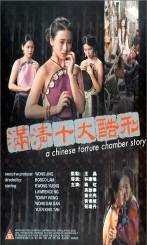 скачать фильм Китайская камера пыток / Восточная камера пыток (1995)