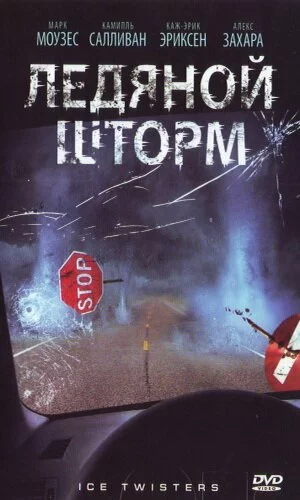 скачать фильм Ледяной шторм (2009)