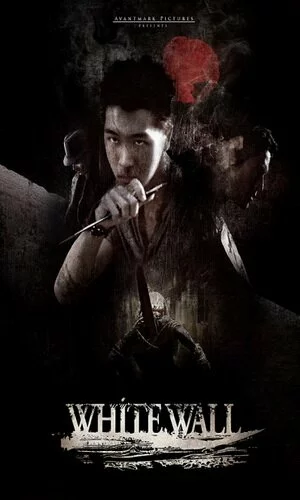 скачать фильм Белая стена (2010)