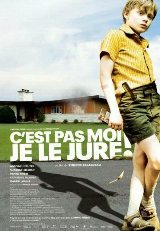 Клянусь, это не я! / C'est pas moi, je le jure! (2008) DVDRip